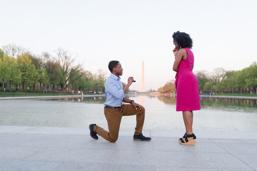 National Mall Proposal | Chris Ferenzi Photography