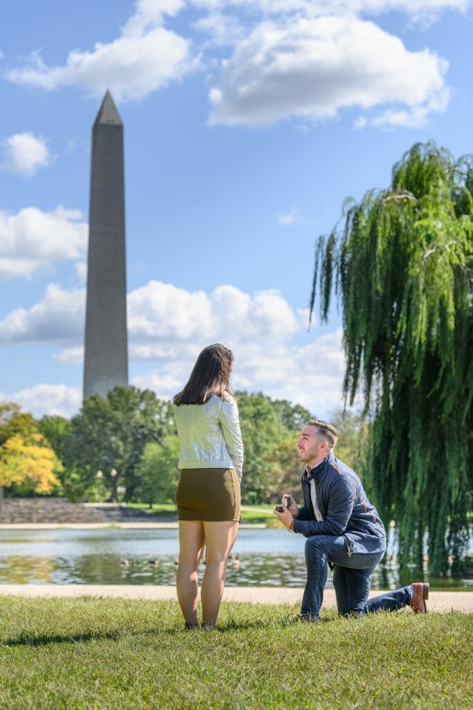 Constitution Gardens surprise proposal on the National Mall.